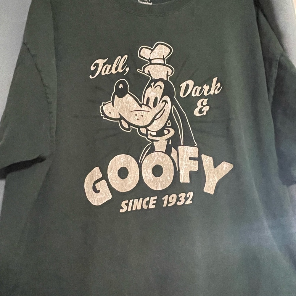 Disneyland Resort Disney World by Hanes Tee